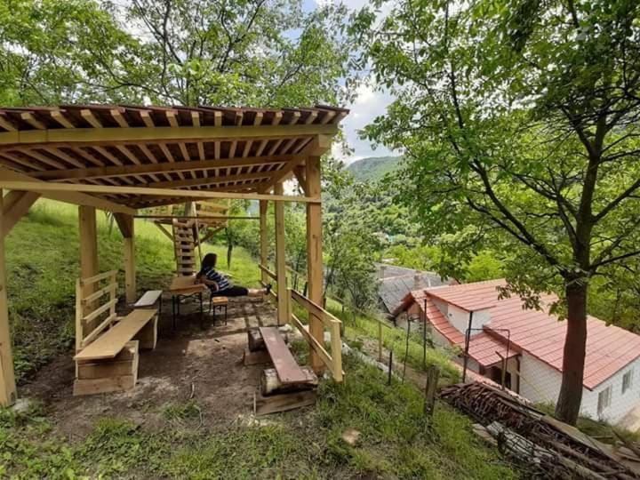 Villa Andrei Sasca Montană Exterior foto