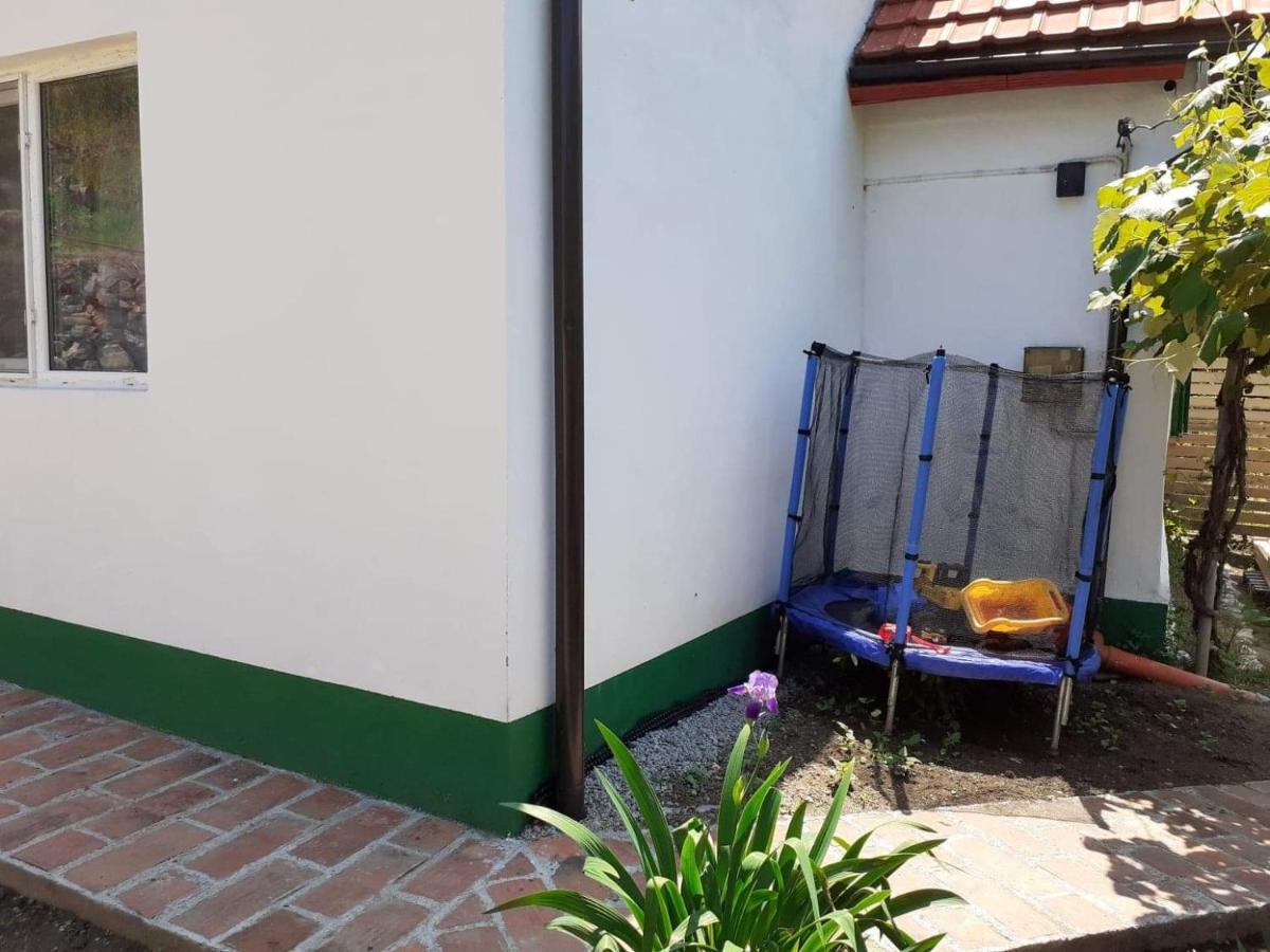 Villa Andrei Sasca Montană Exterior foto